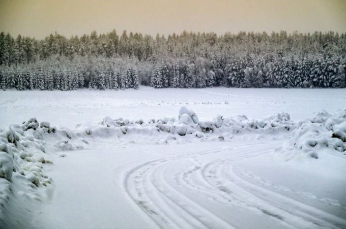 FIA WRC Rally Sweden 2026 Toyota Gazoo Racing WRT